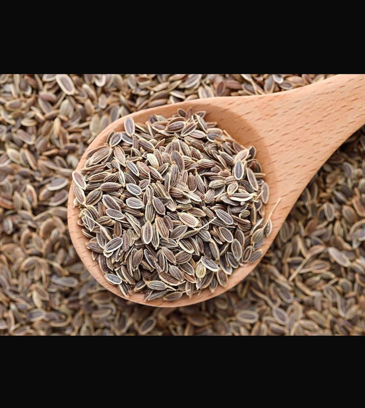 Soya dil seeds 1 kg